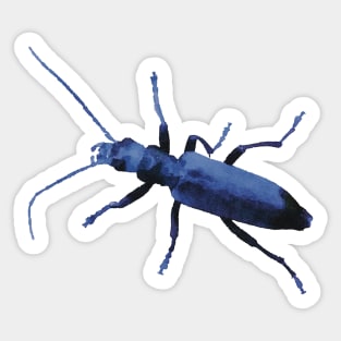 Blue Beetle Wharf Borer Sticker